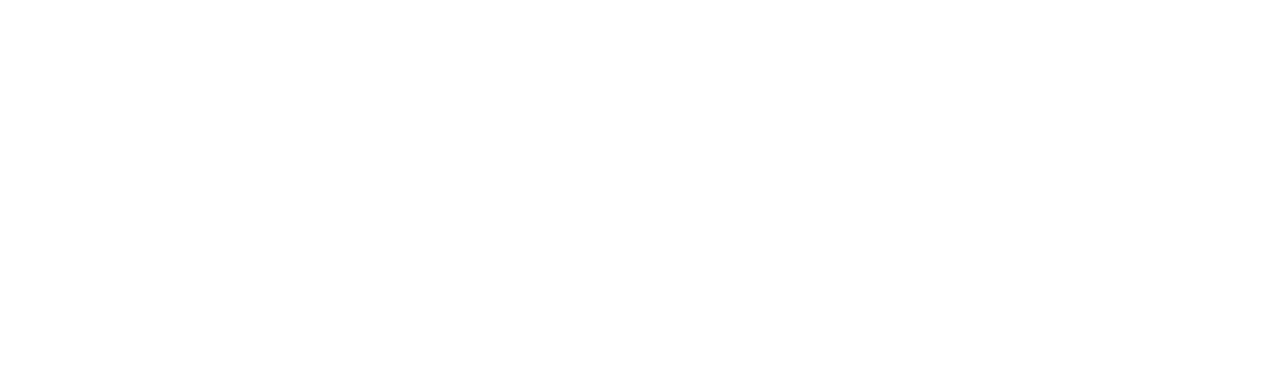 酸鹹發酵好滋味