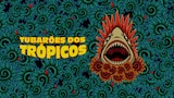 Tubarões dos Trópicos