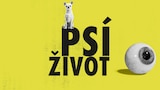 Psí život