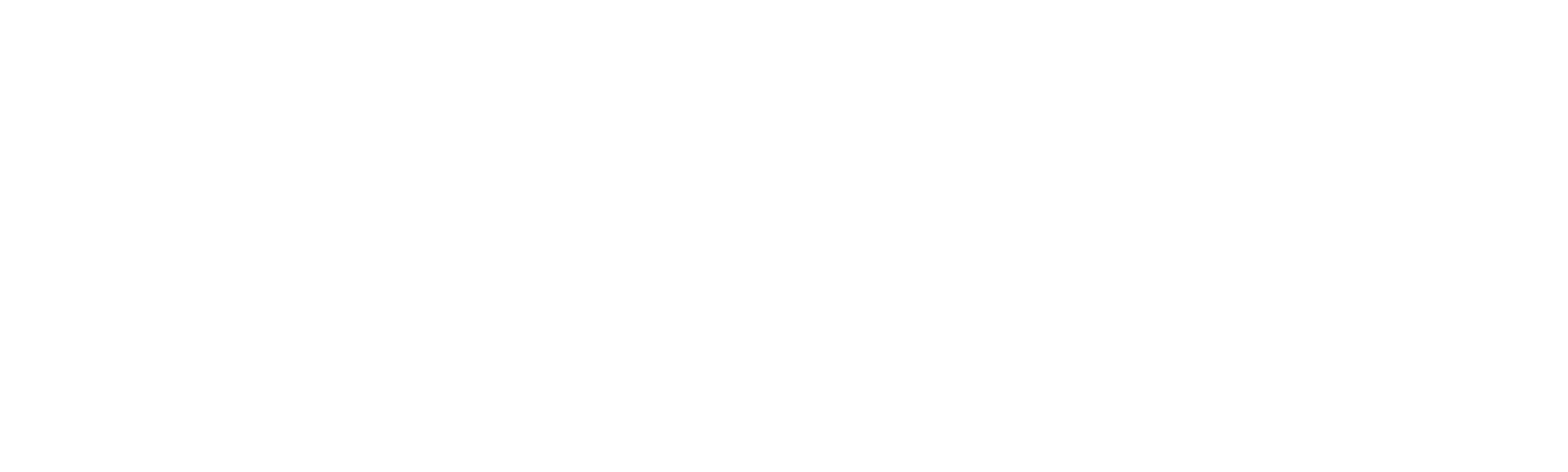 The Eyes of Orson Welles