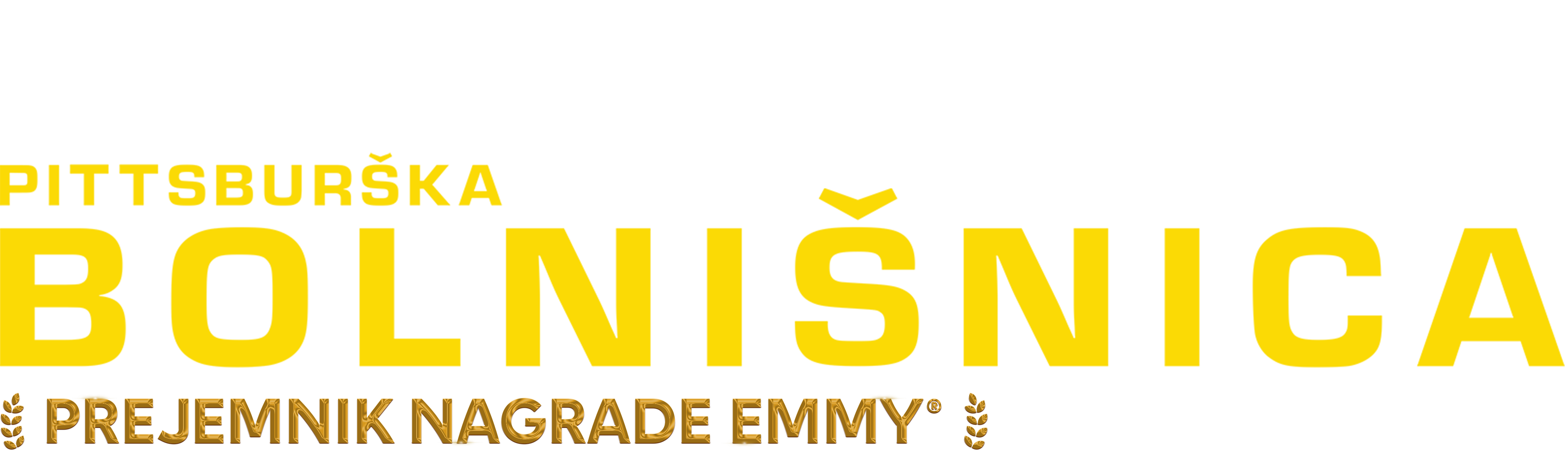 Pittsburška bolnišnica