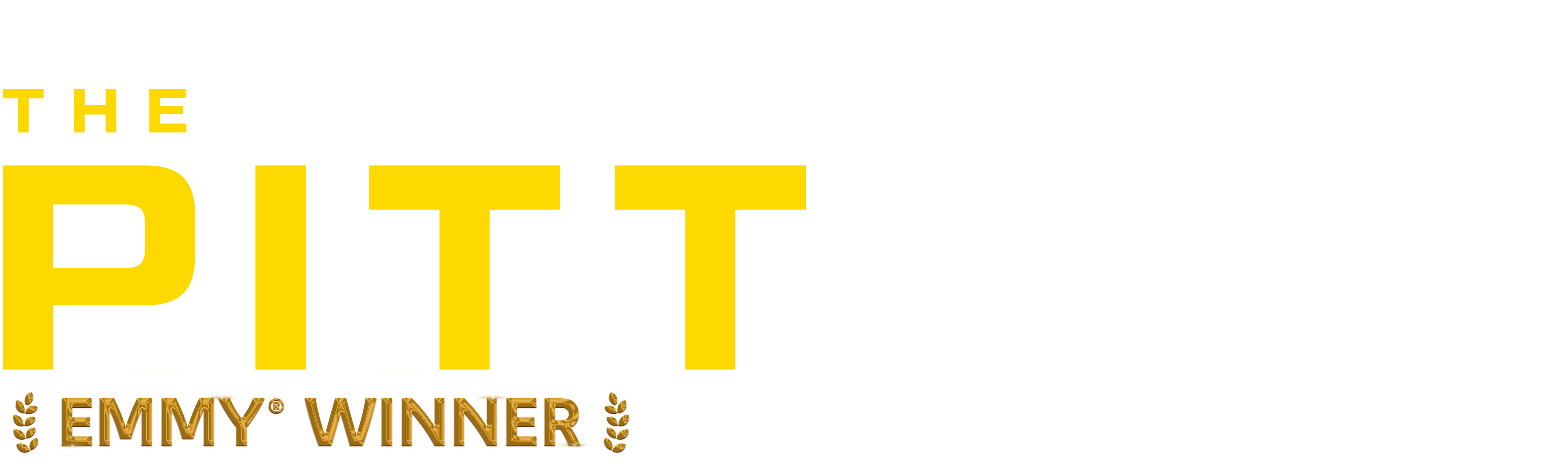 The Pitt