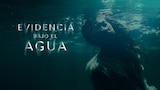 Evidencia bajo el agua