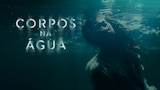 Corpos na Água