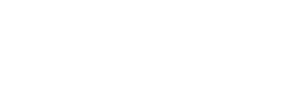 Home Again With the Fords