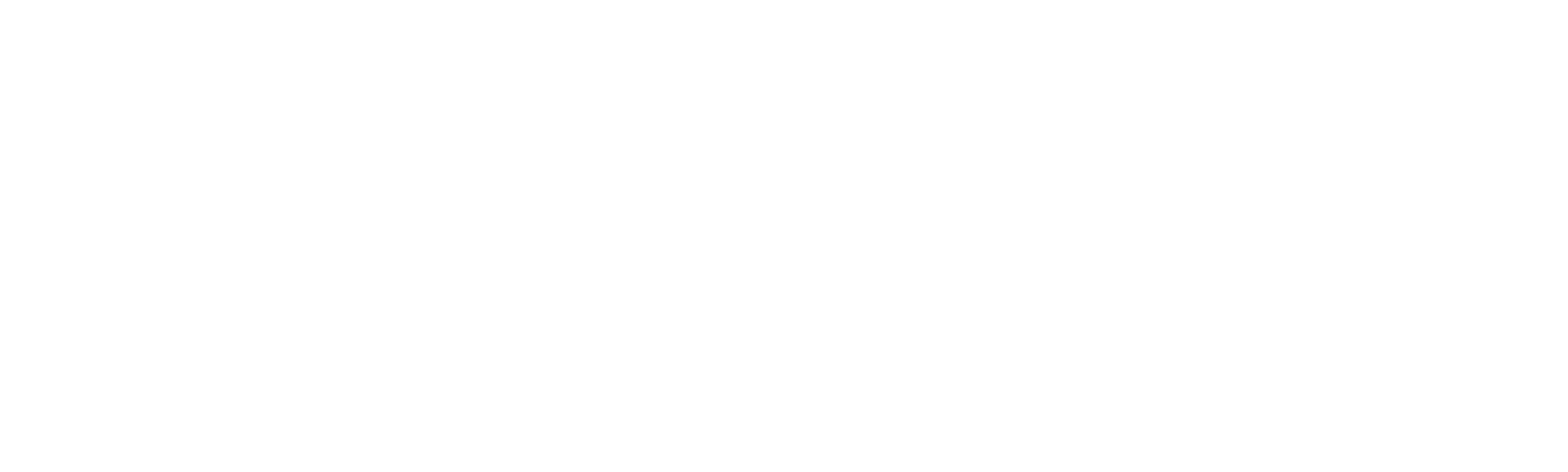 Servant of the People