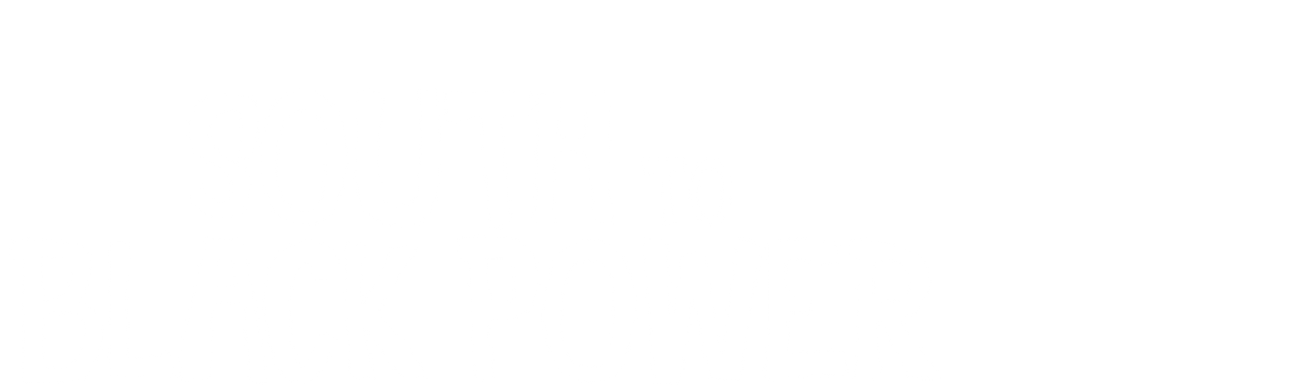 South to Black Power