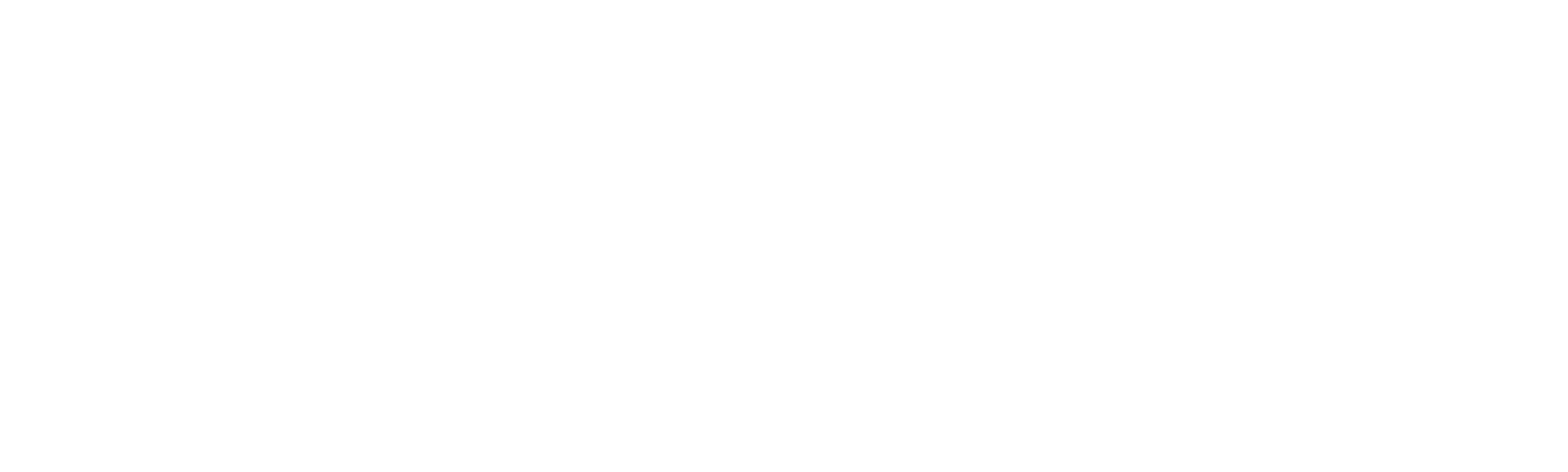 Sinnasnekker'n