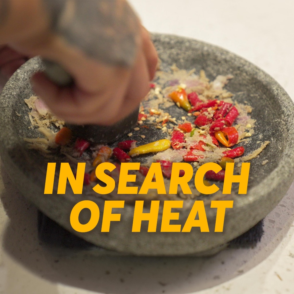 In Search of Heat
