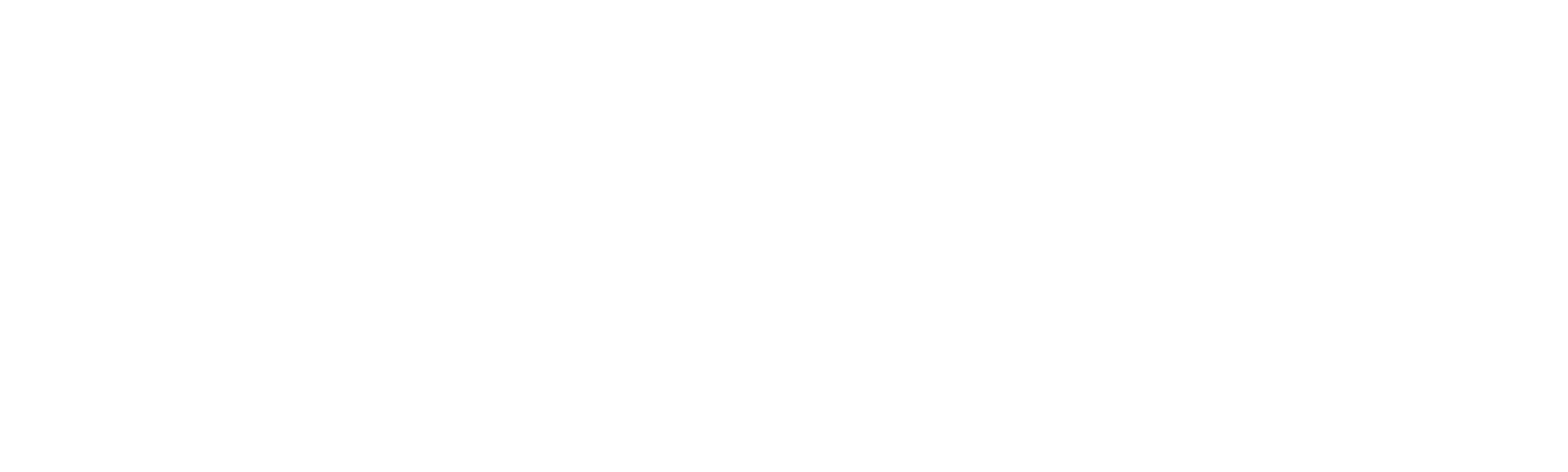 Long Island Medium