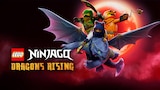 LEGO Ninjago: Dragons Rising