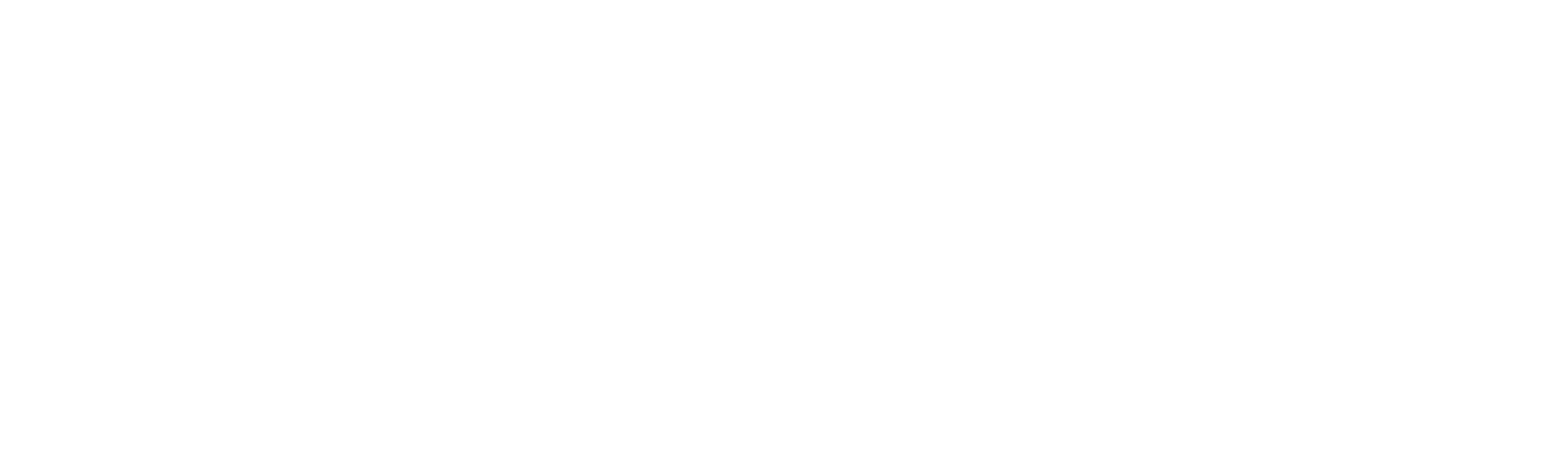 旋风忍者：猛龙崛起