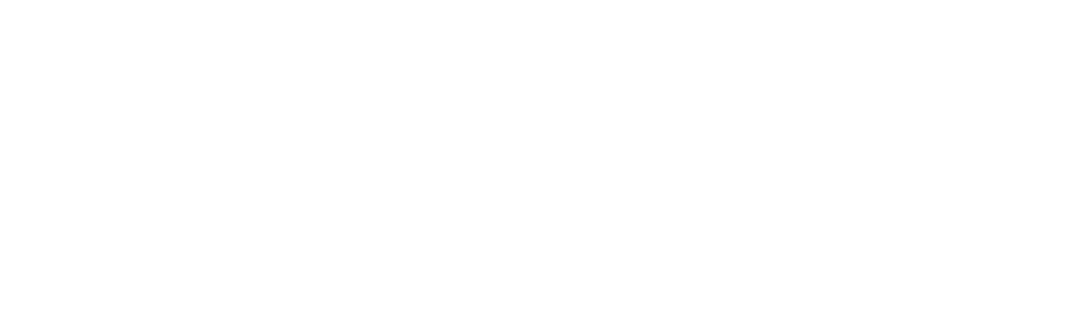 Everest Avalanche Tragedy