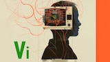 Vi
