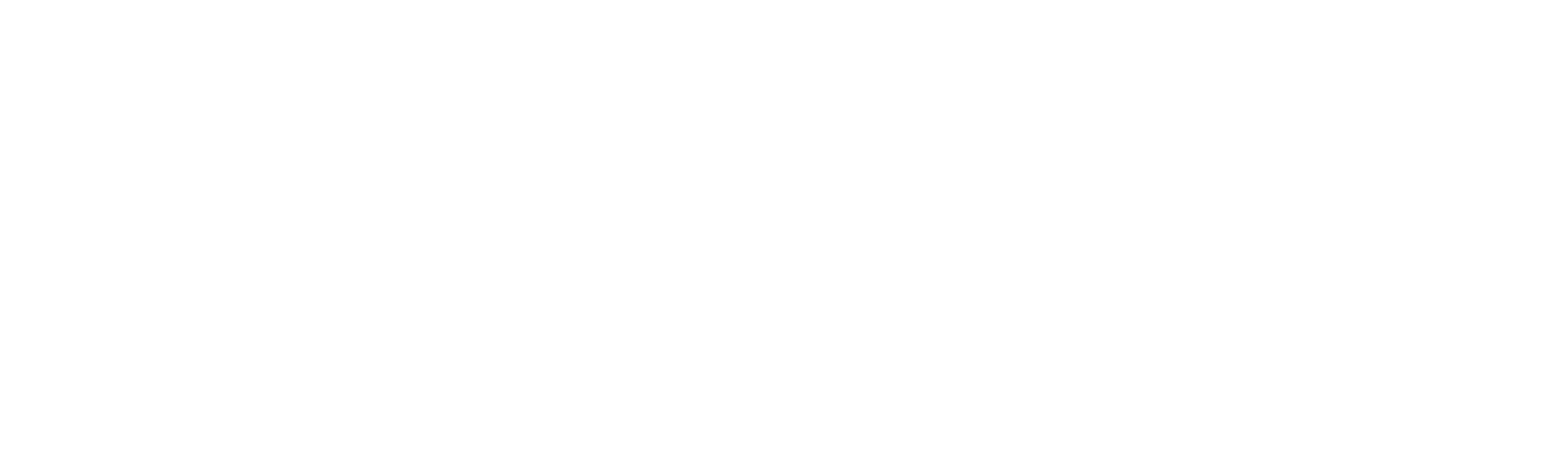 American Nightmare
