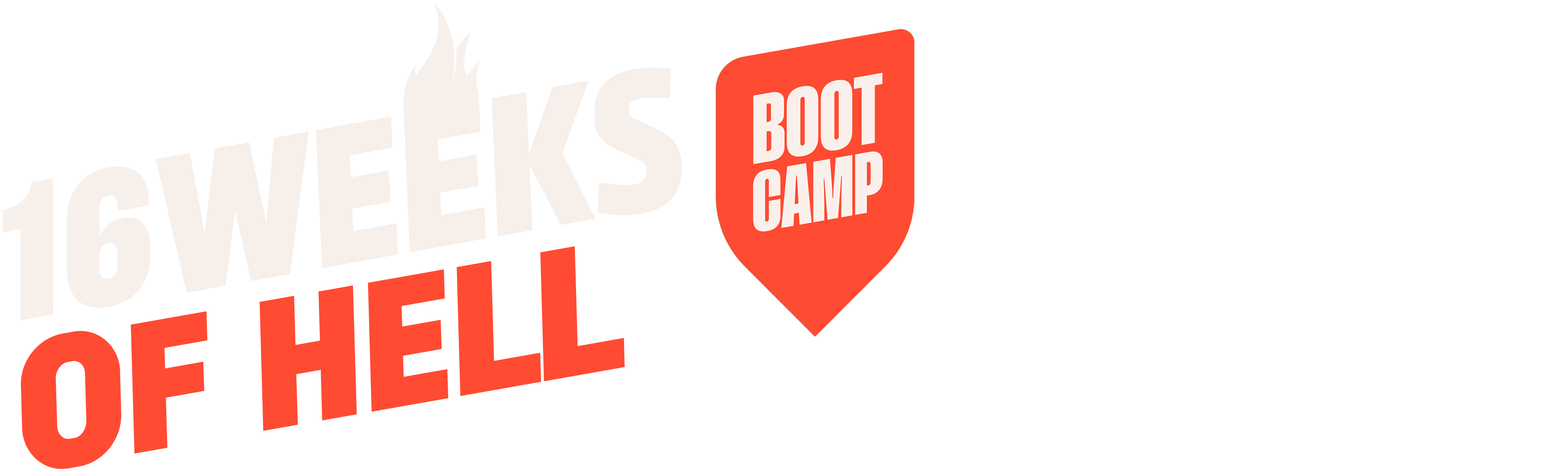 16 Weeks Of Hell Bootcamp