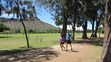 Getting Back in Shape on Oahu