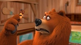 XXL Bear