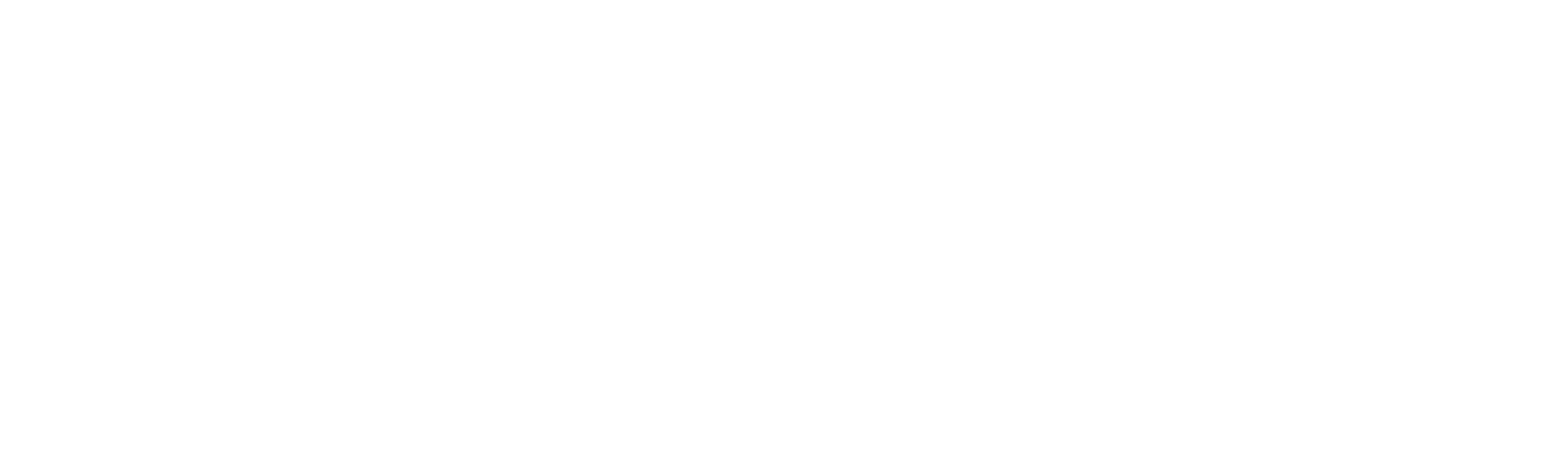 El Alma de la Fiesta