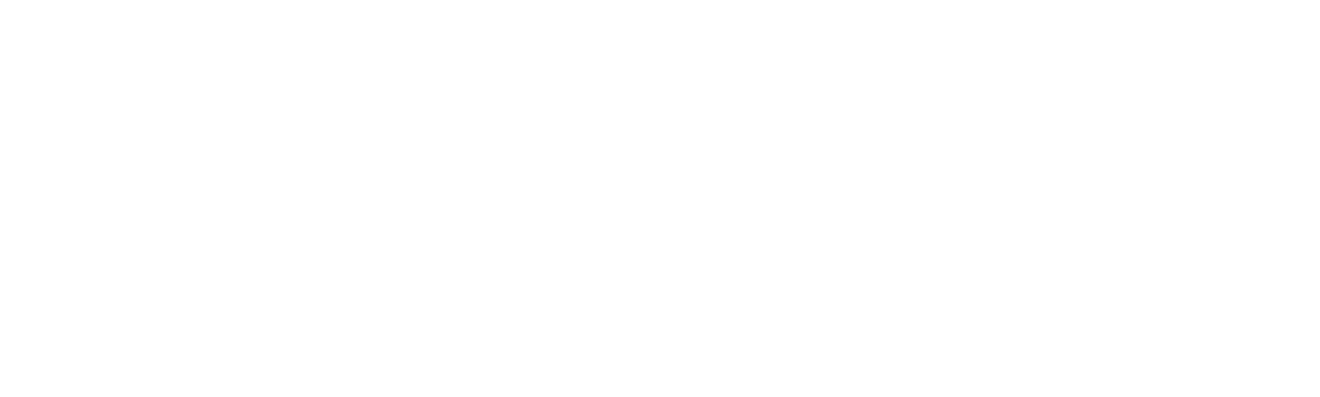 Capturing Home