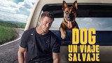 Dog: Un Viaje Salvaje
