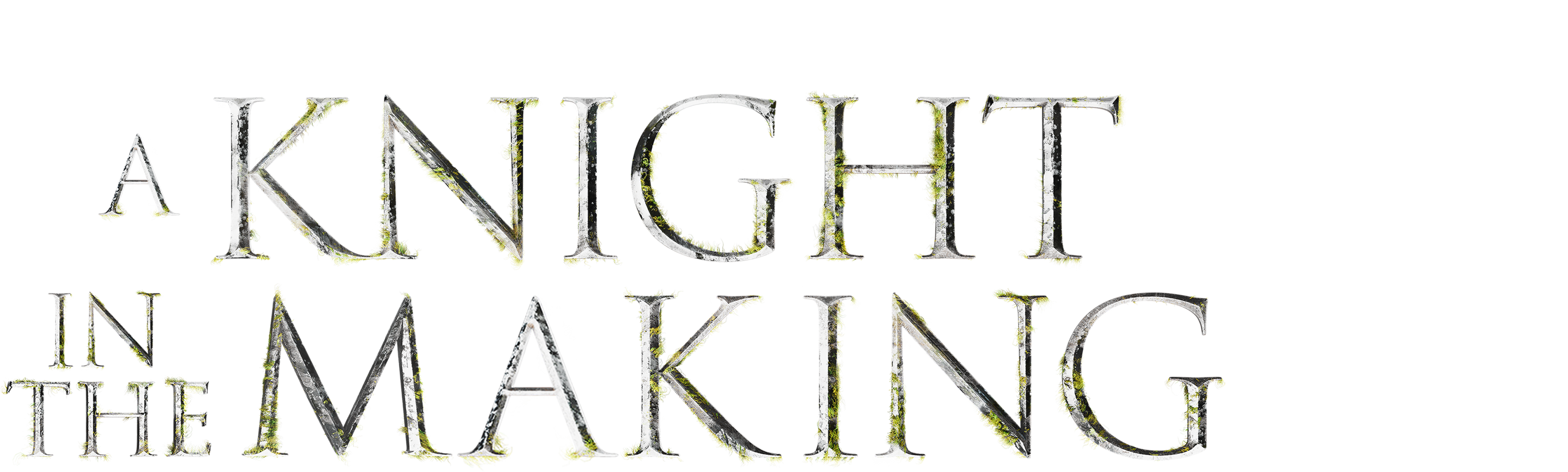 A Knight In The Making