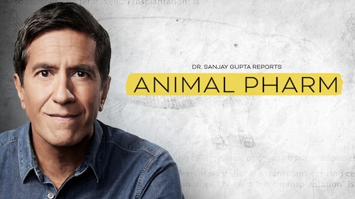 Ver Dr. Sanjay Gupta Reports: Animal Pharm | HBO Max