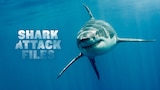 Shark Attack Files