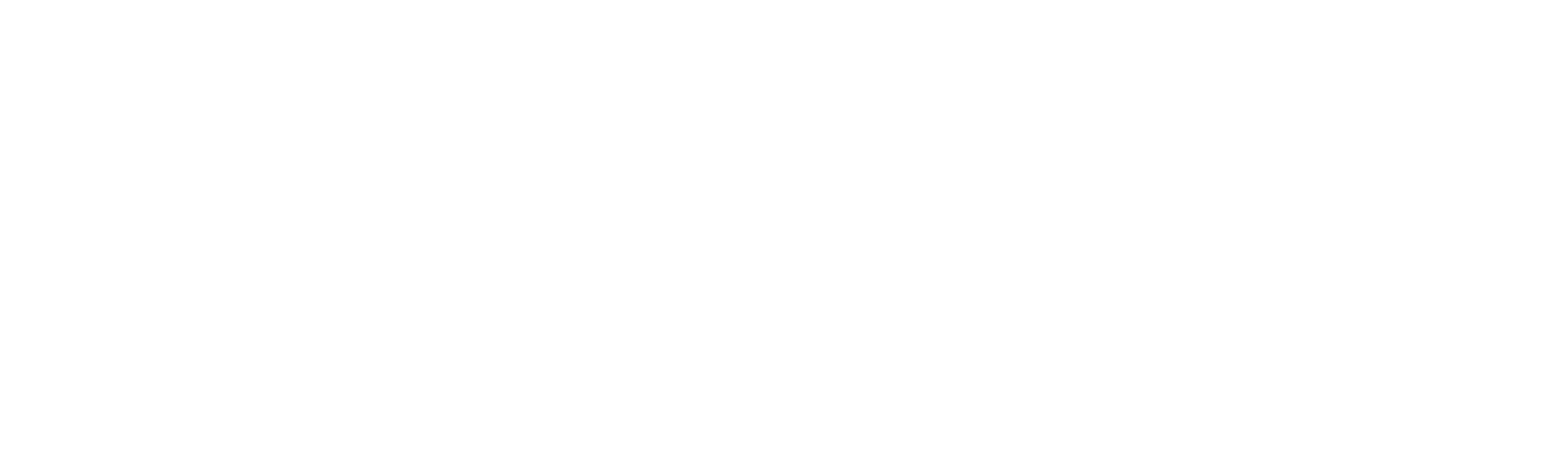 The Naked City