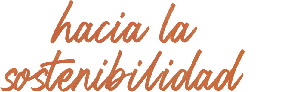 Hacia la sostenibilidad