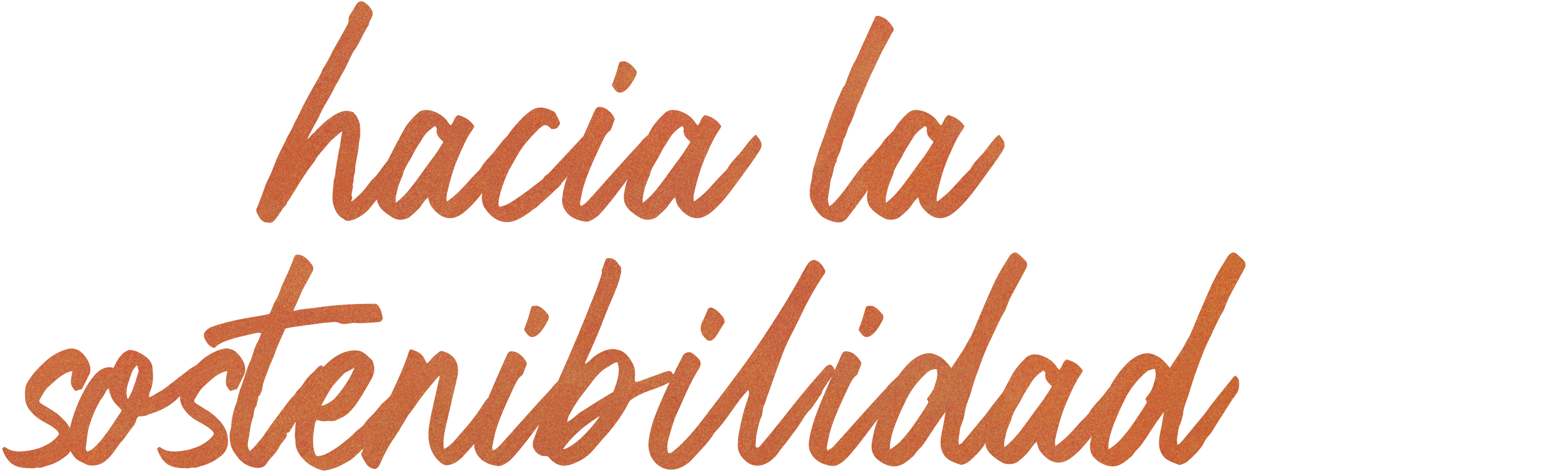 Hacia la sostenibilidad