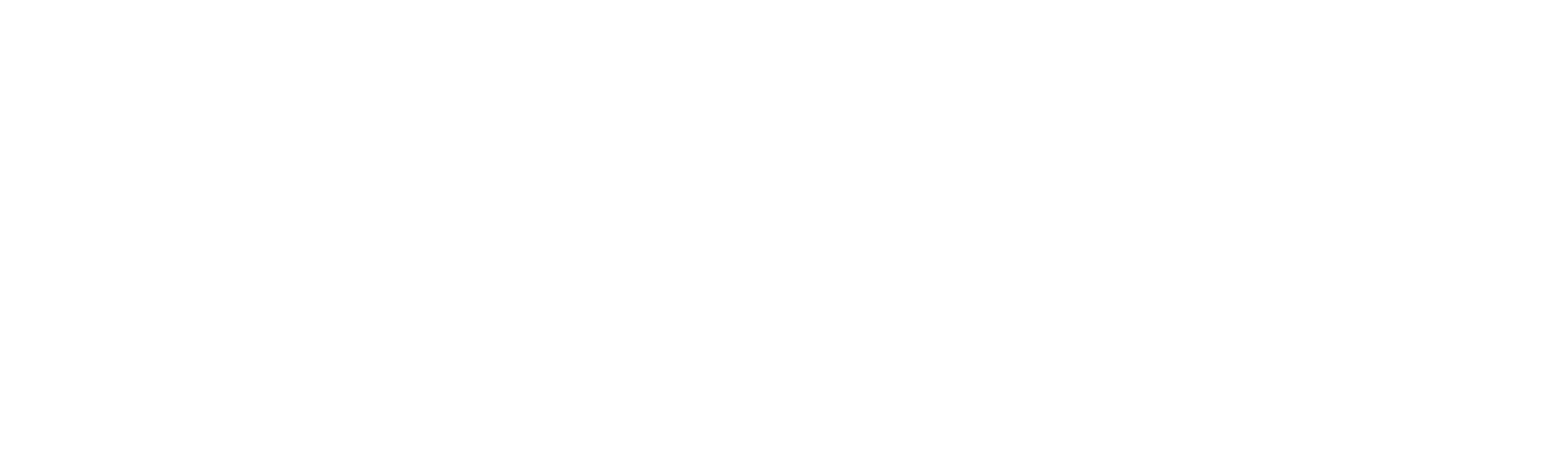 Gabby Petito: un crimen viral