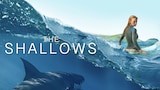The Shallows