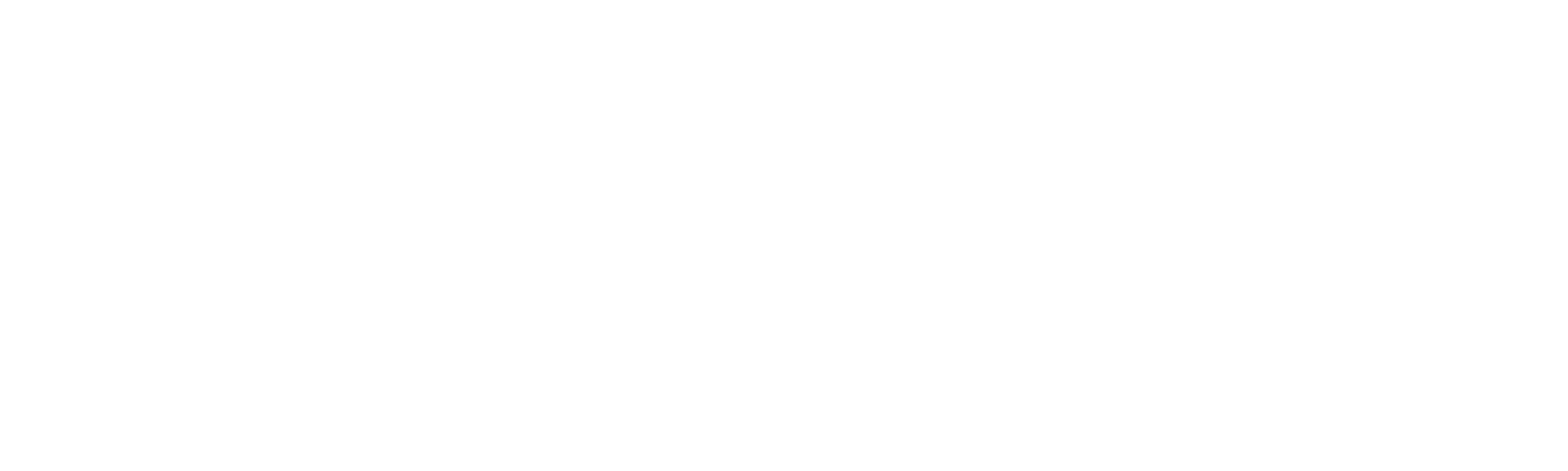 Phoenix: Povestea