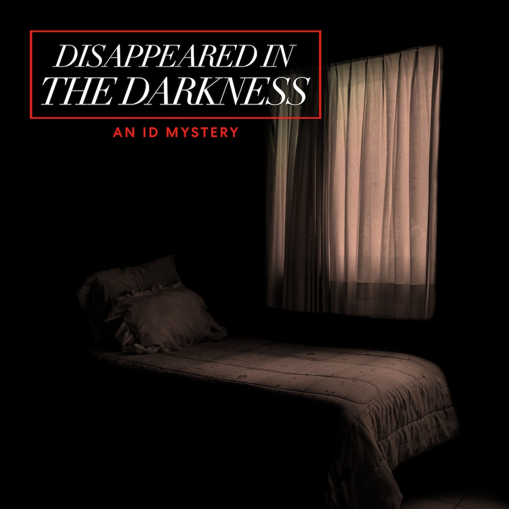 Disappeared In the Darkness: An ID Mystery