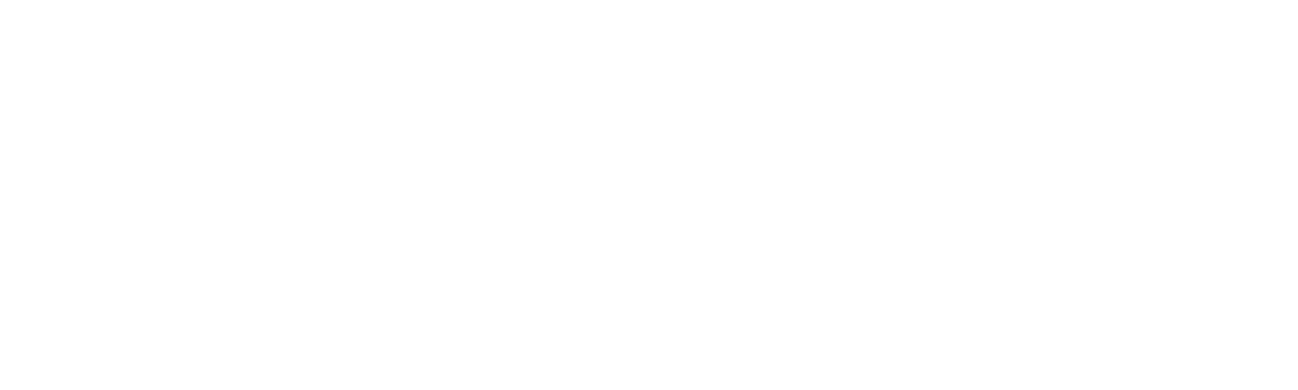 My Brilliant Friend