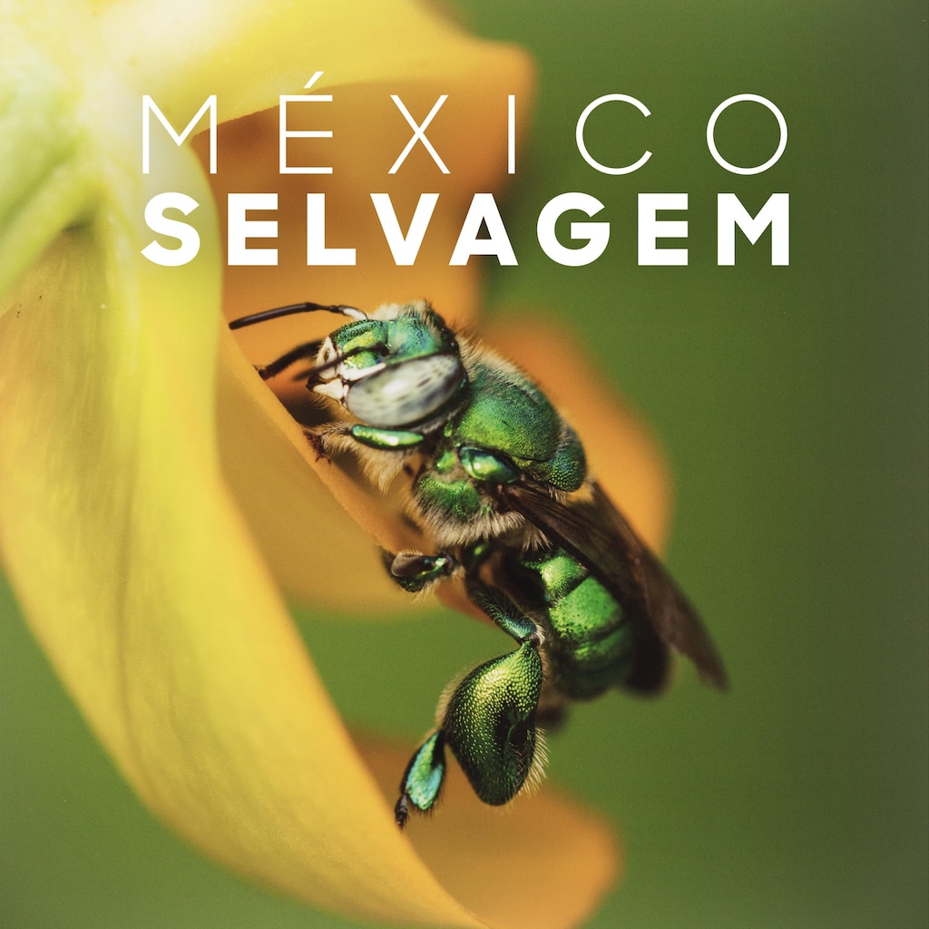 México Selvagem