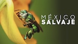 México salvaje