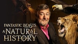 Fantastic Beasts: A Natural History