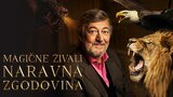 Magične živali: Naravna zgodovina