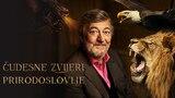 Čudesne zvijeri: Prirodoslovlje