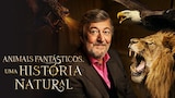 Animais Fantásticos: Uma História Natural