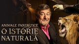 Animale fantastice: O istorie naturală