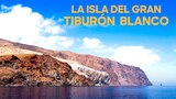 La isla del gran tiburón blanco