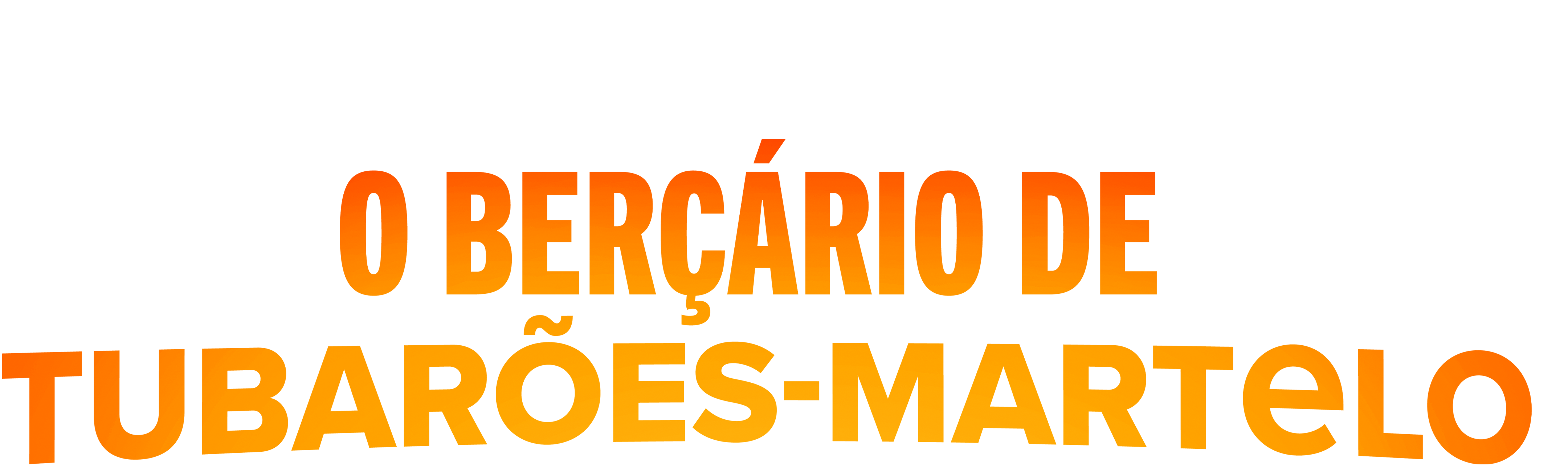 O Berçário de Tubarões-Martelo