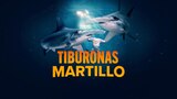 Tiburonas martillo