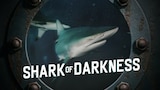 Shark of Darkness: Wrath of Submarine