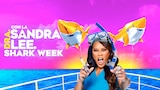 Shark Week con la Dra. Sandra Lee