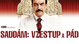 Saddám: Vzestup a pád