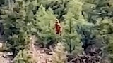 Colorado Bigfoot Sighting and More